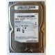 SAMSUNG HD103SJ 1000GB Harddisk